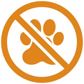 No Pet-friendly