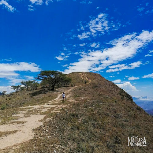 Cerro Kingo