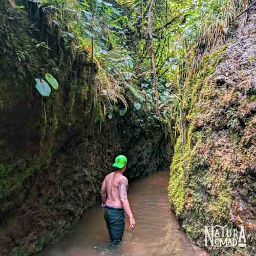 Bosque Protector Cubilán