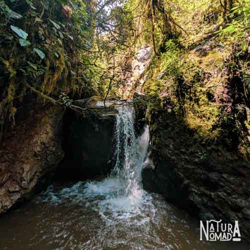 Bosque Protector Cubilán