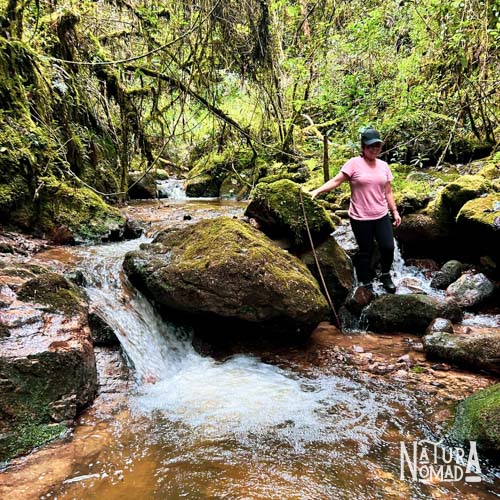 Bosque Protector Cubilán
