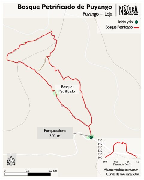 Mapa Bosque Petrificado