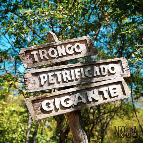 Bosque Petrificado de Puyango