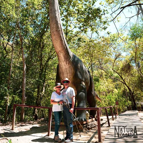 Bosque Petrificado de Puyango