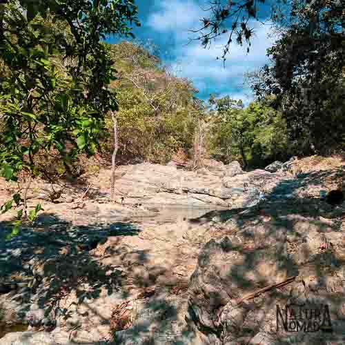 Bosque Petrificado de Puyango
