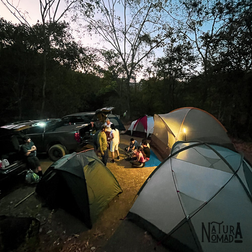 Bosque Petrificado de Puyango